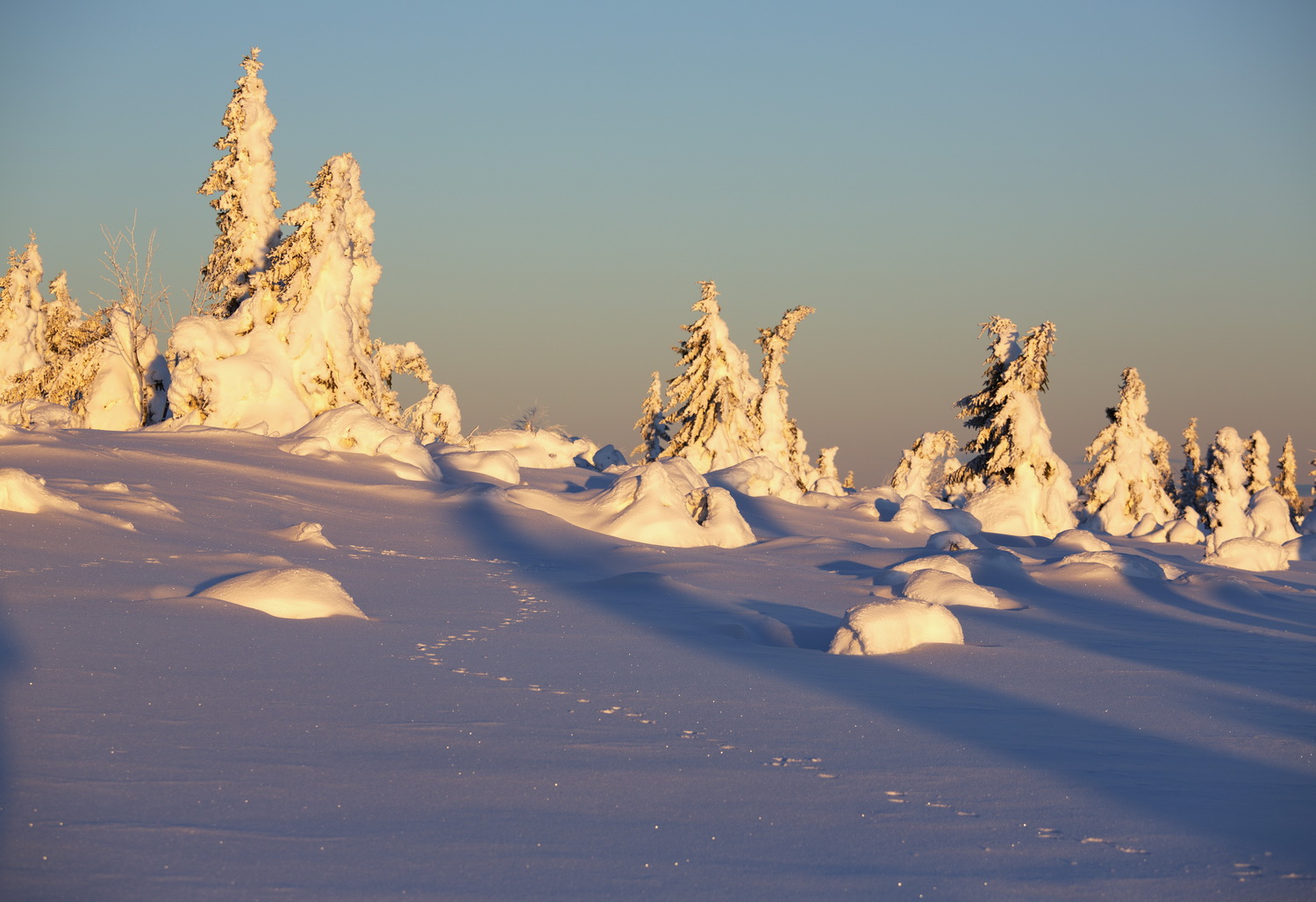 Spuren im Schnee