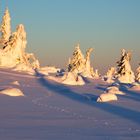 Spuren im Schnee