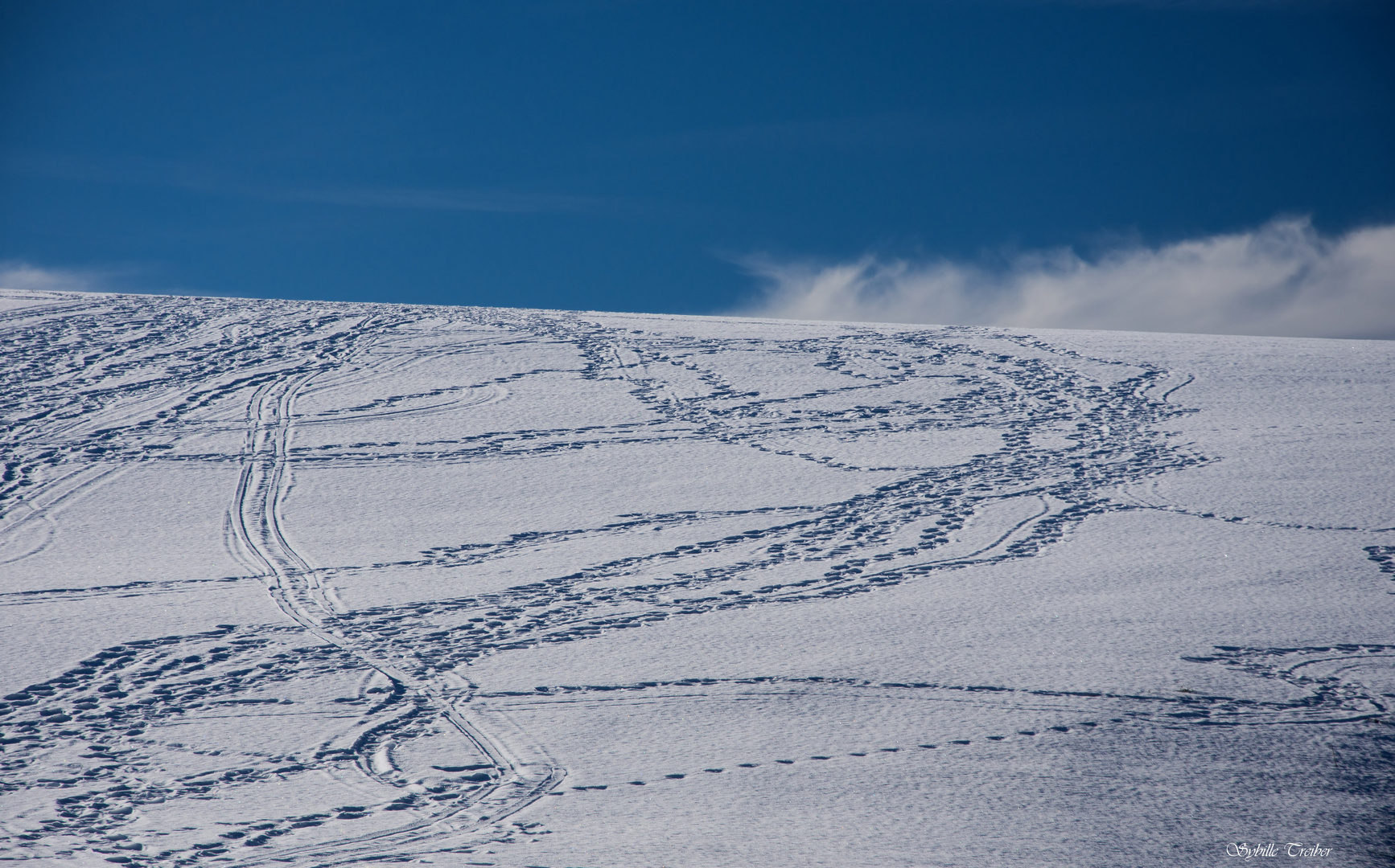 Spuren im Schnee