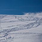 Spuren im Schnee