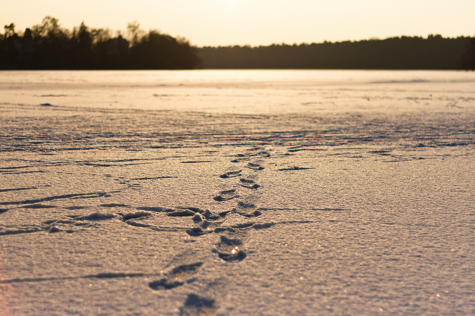 Spuren im Schnee