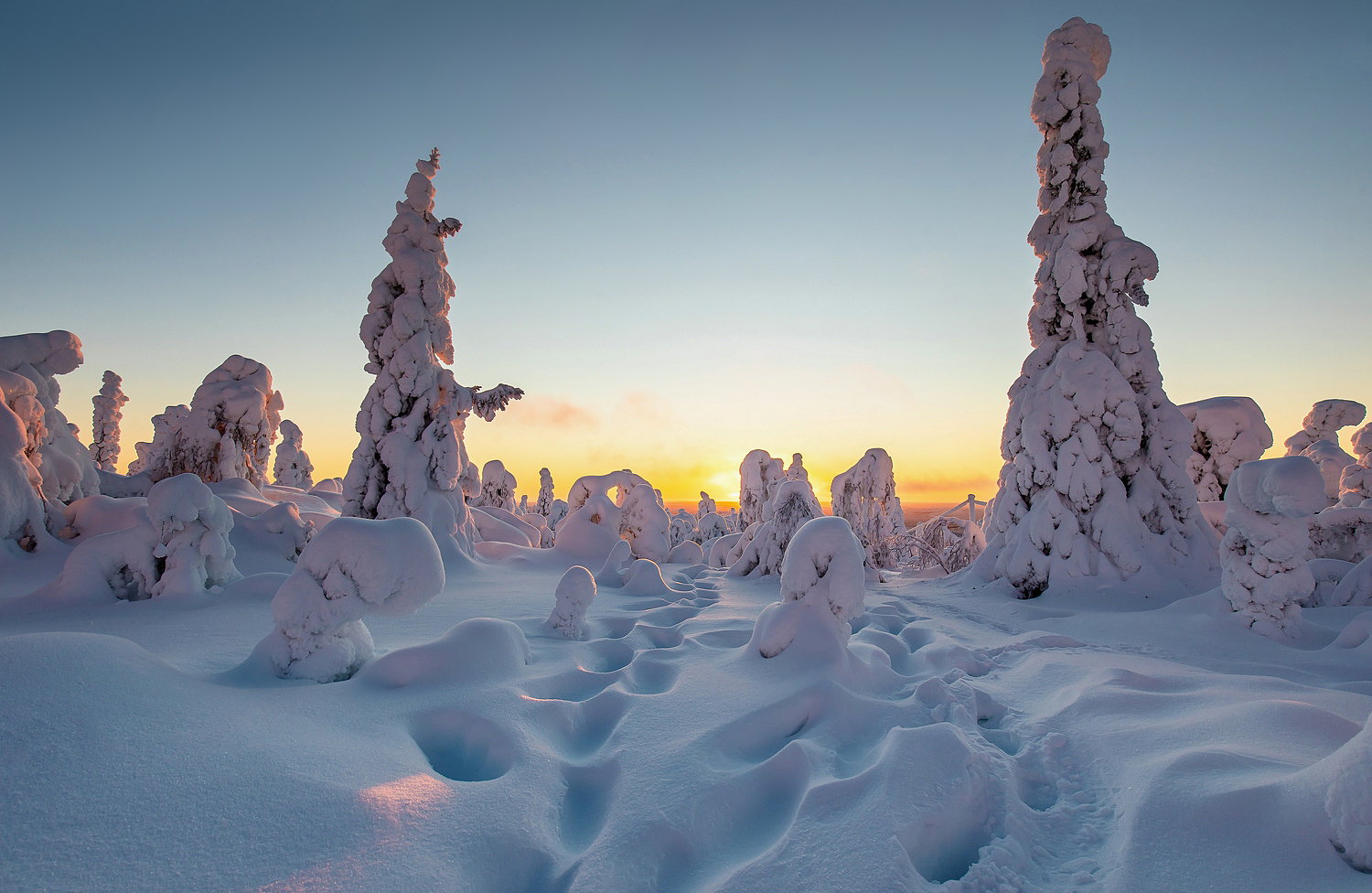 Spuren im Schnee