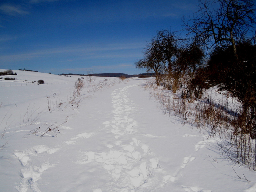 Spuren im Schnee