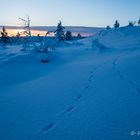 Spuren im Schnee