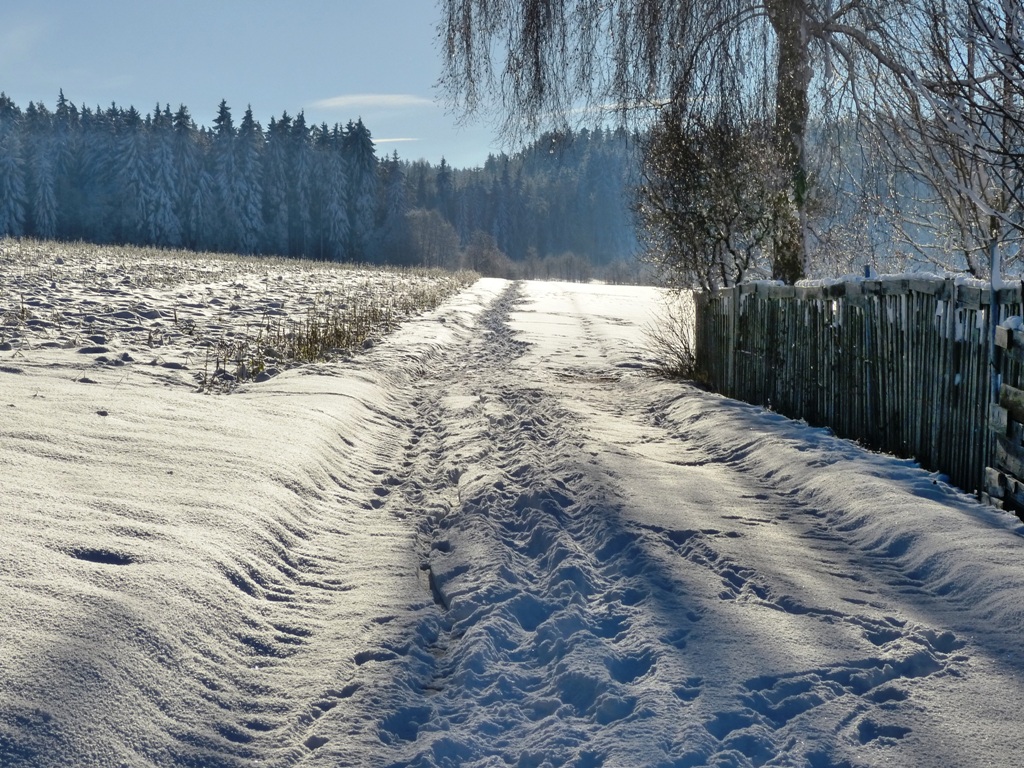 Spuren im Schnee