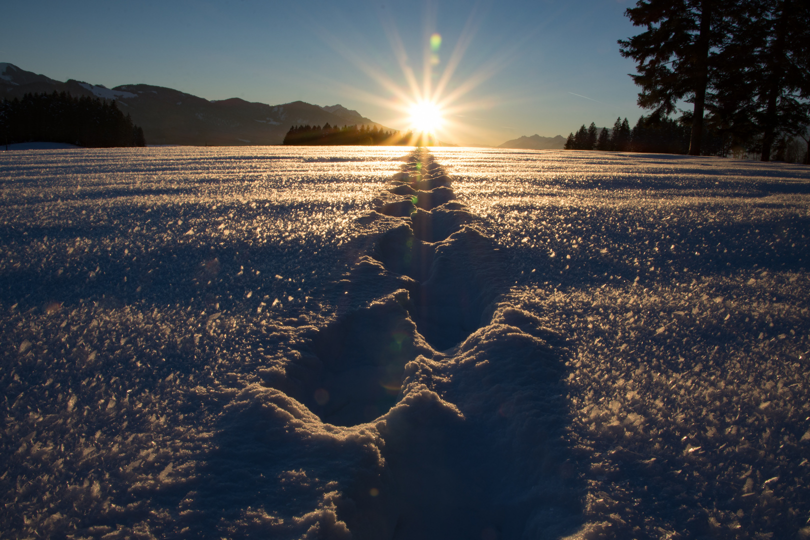 Spuren im Schnee