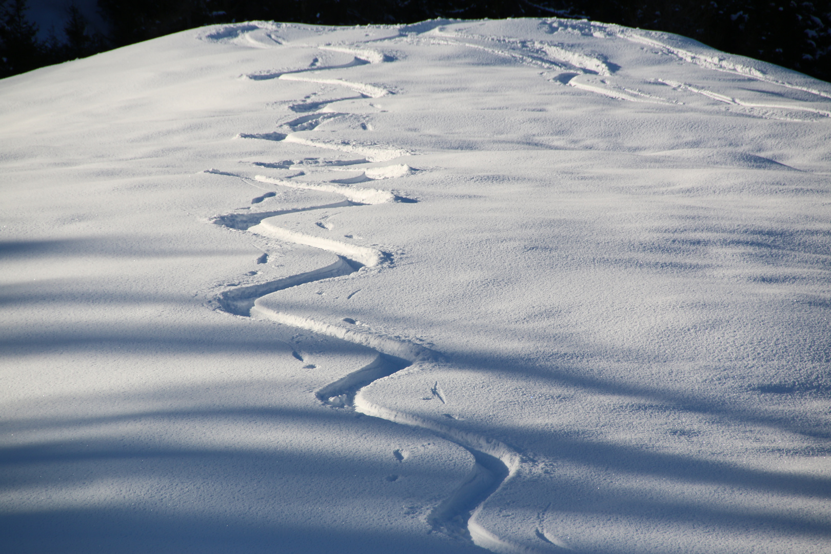 Spuren im Schnee