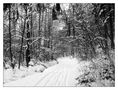 Spuren im Schnee... von Muna Jolie