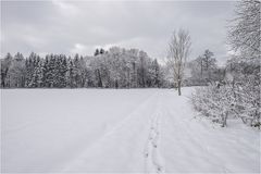 Spuren im Schnee