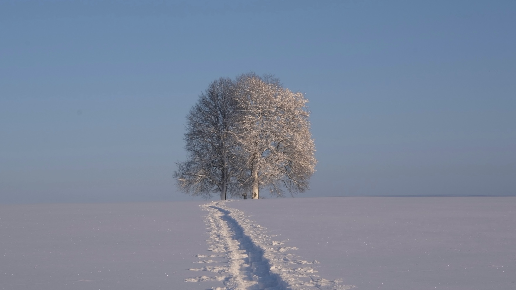 Spuren im Schnee