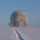 Spuren im Schnee