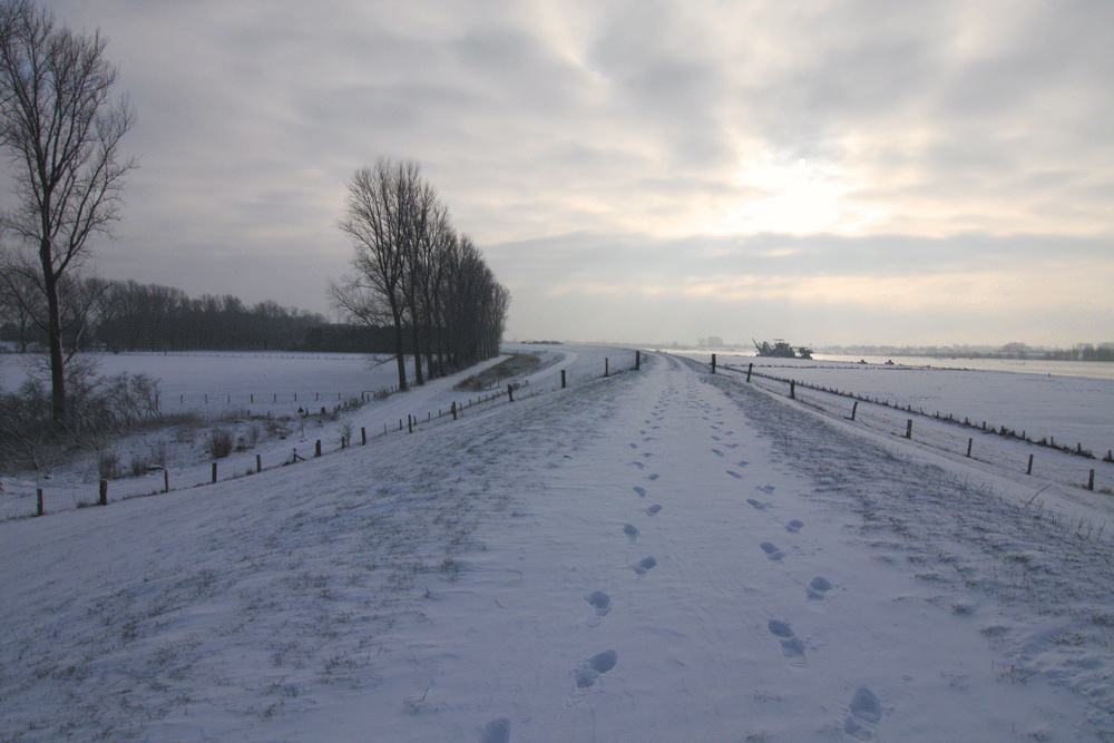 Spuren im Schnee...