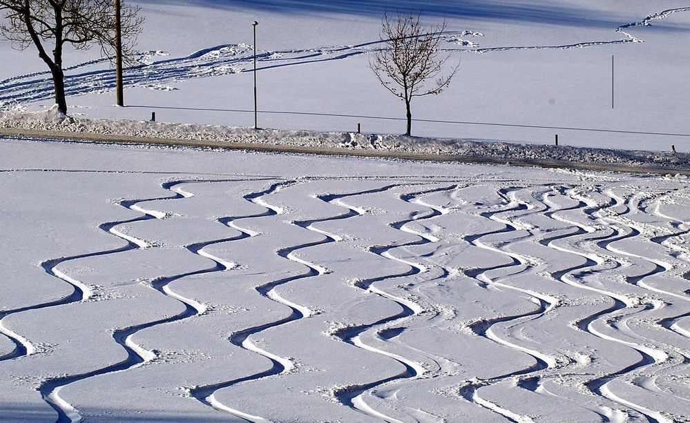 Spuren im Schnee... by saxoniapics