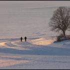 Spuren im Schnee