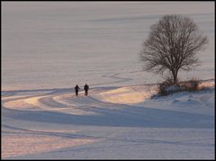 Spuren im Schnee