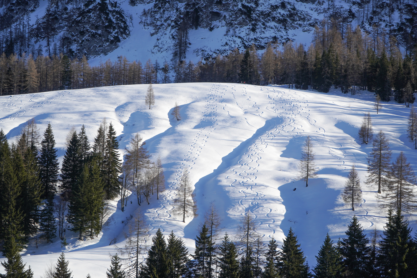 Spuren im Schnee