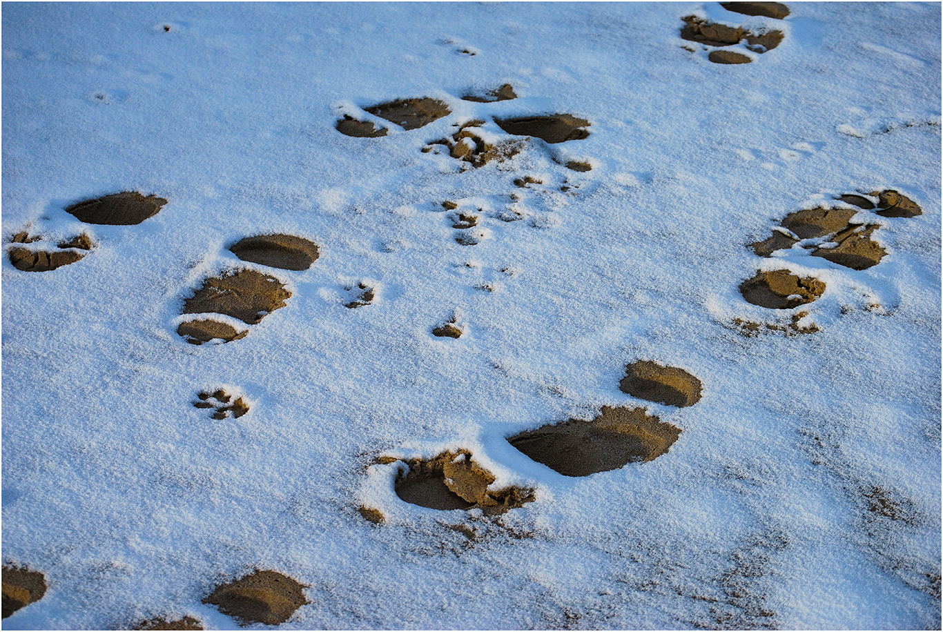 Spuren im Schnee