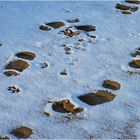 Spuren im Schnee