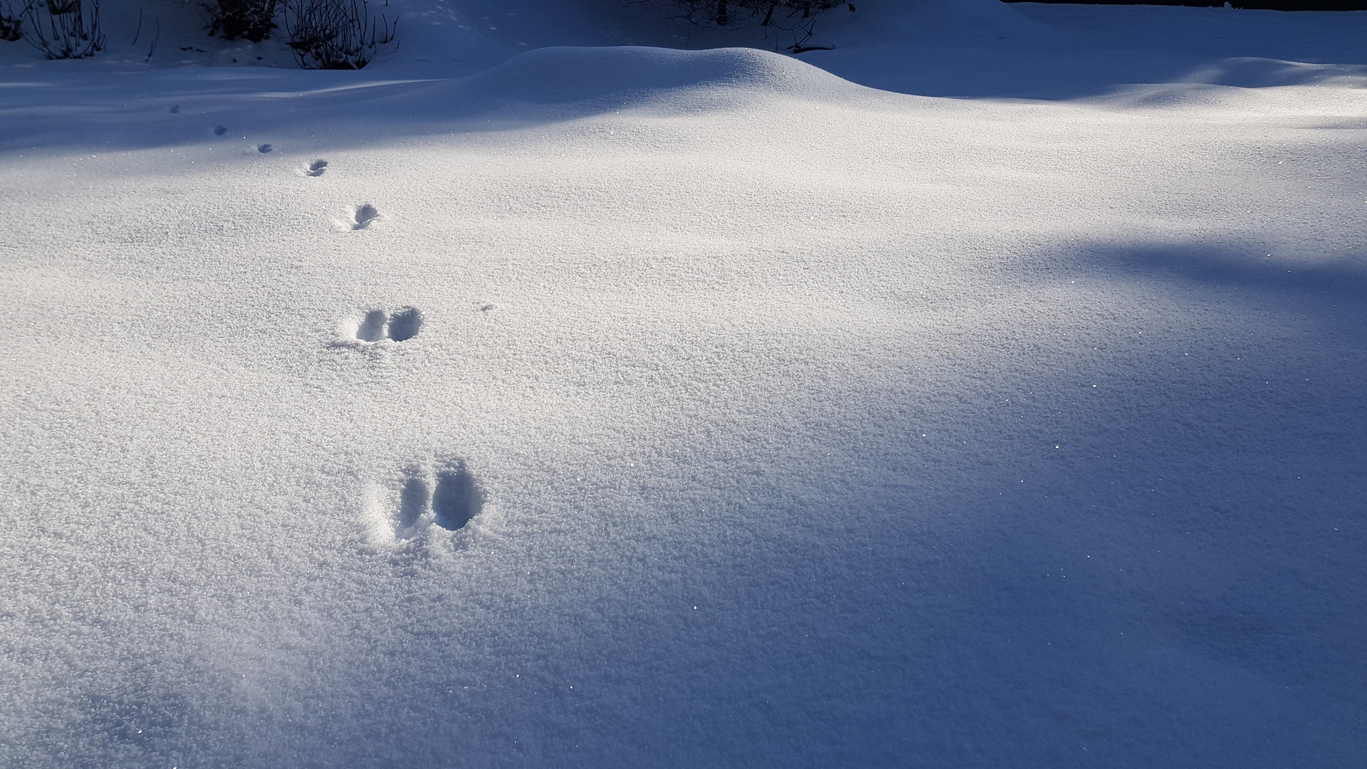 Spuren im Schnee