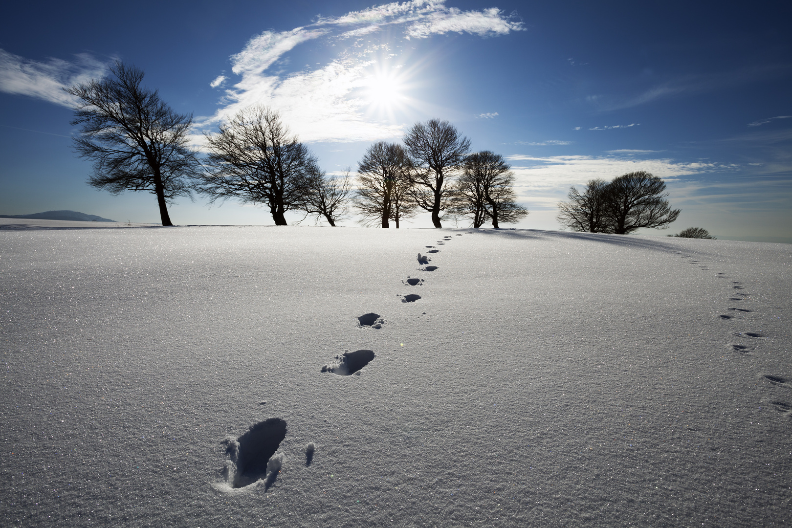 Spuren im Schnee