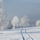 Spuren im Schnee