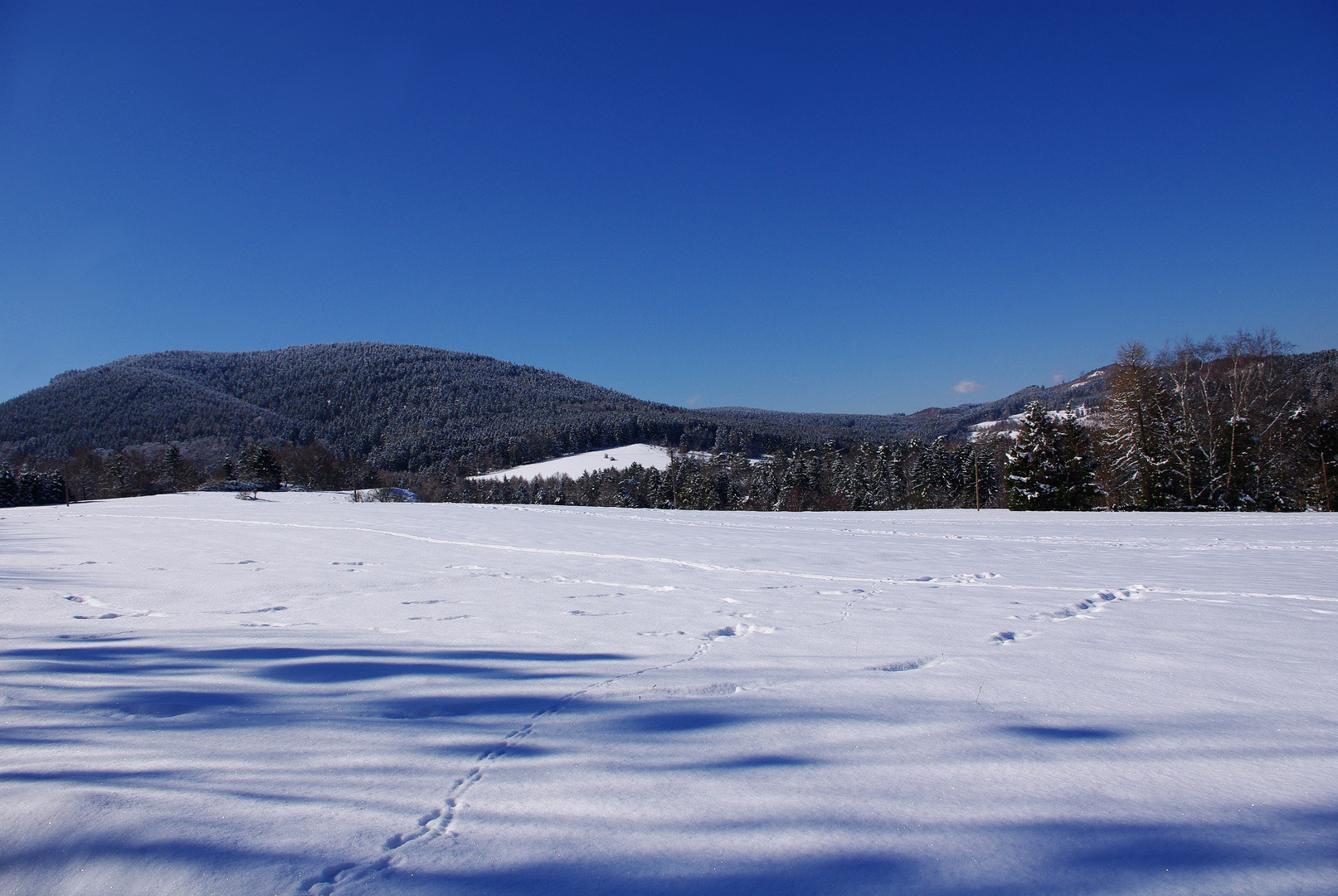 Spuren im Schnee