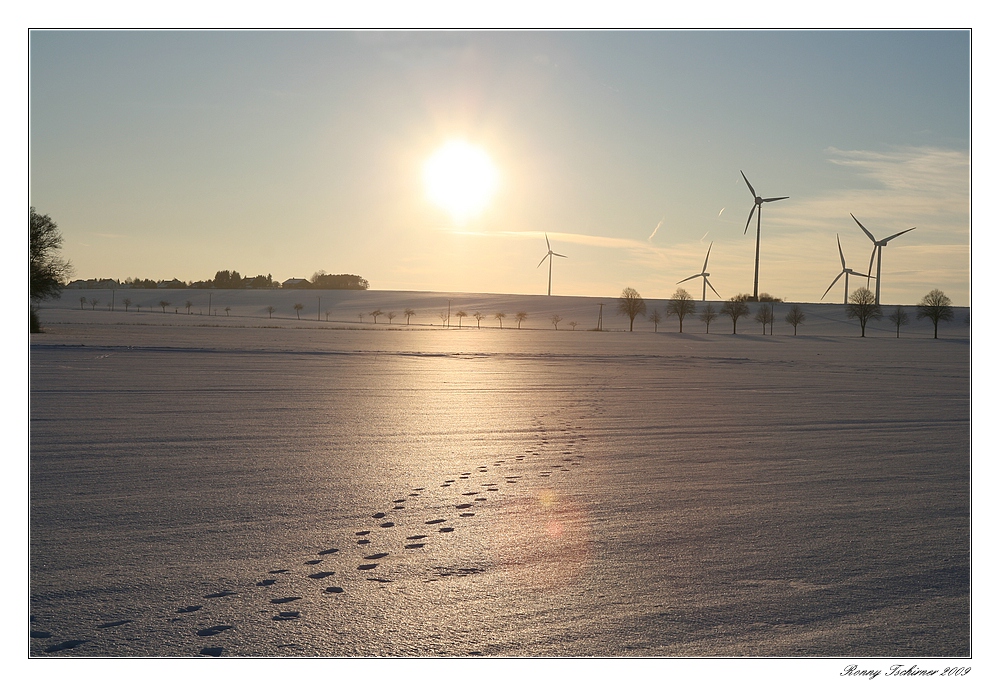 Spuren im Schnee