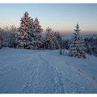 "Spuren im Schnee führn herab aus steiler Höh'"