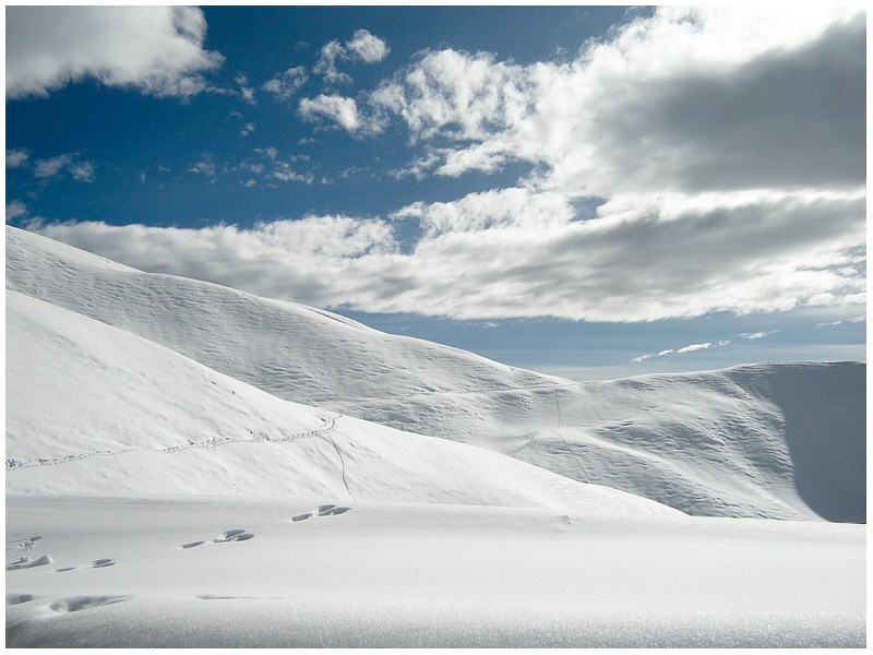 spuren im schnee II