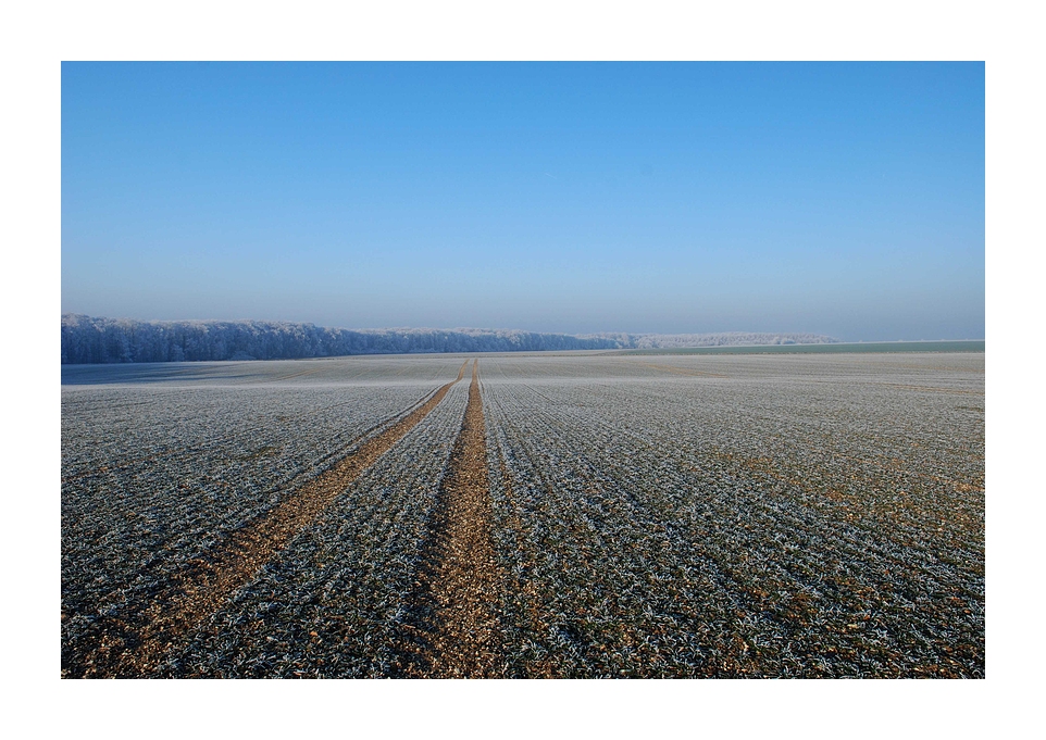 Spuren im Schnee II