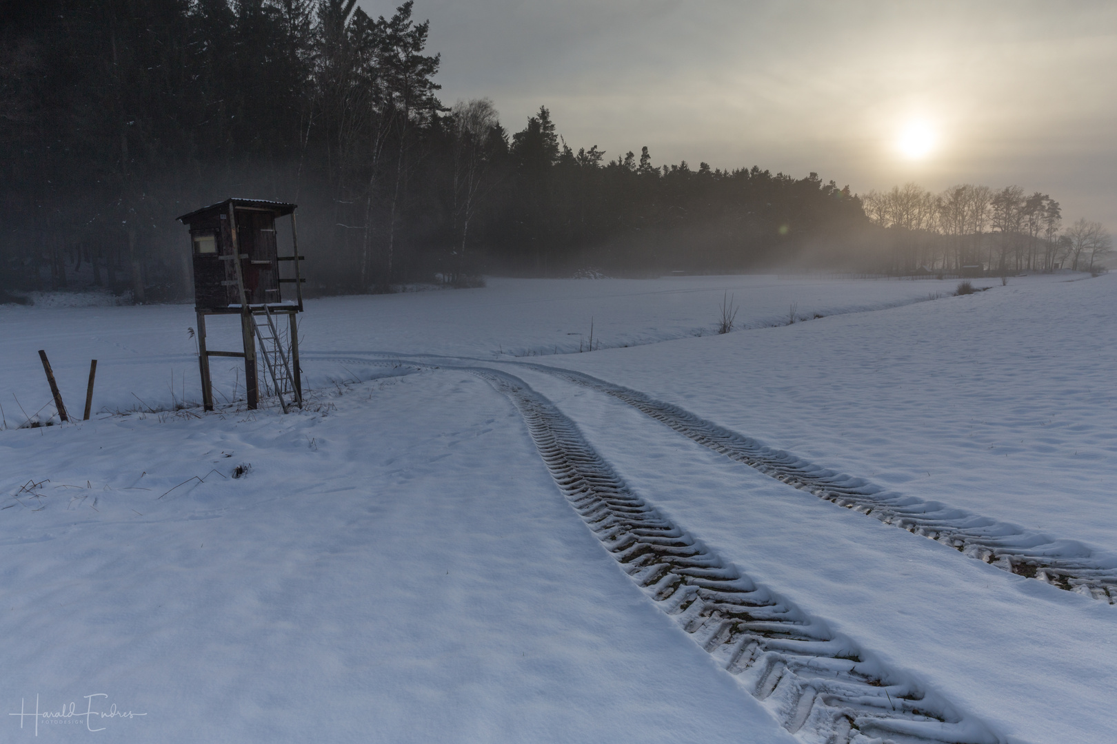 Spuren im Schnee II