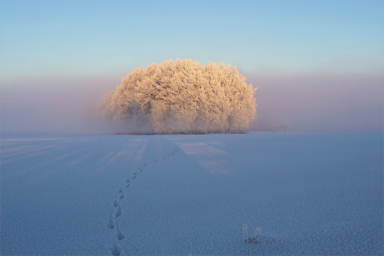 Spuren im Schnee im Winterwunderland