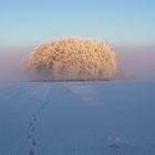 Spuren im Schnee im Winterwunderland