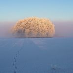 Spuren im Schnee im Winterwunderland