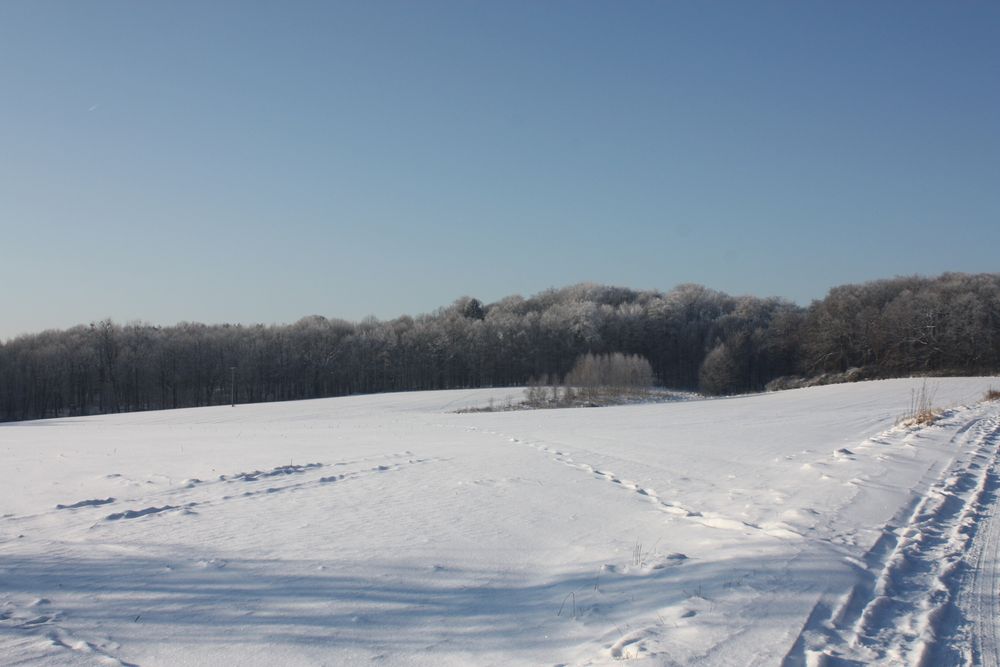 Spuren im Schnee konnte man vor Jahren finden