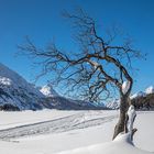 Spuren im Schnee - Patricia St John