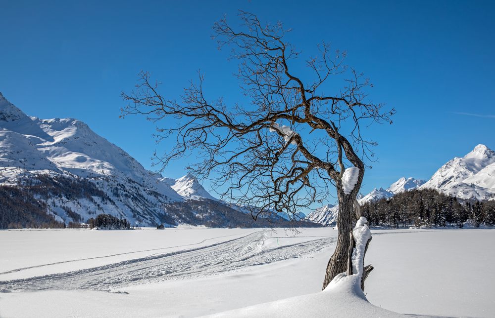 Spuren im Schnee - Patricia St John