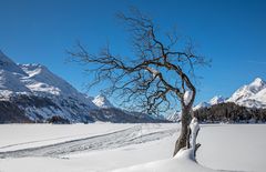 Spuren im Schnee - Patricia St John