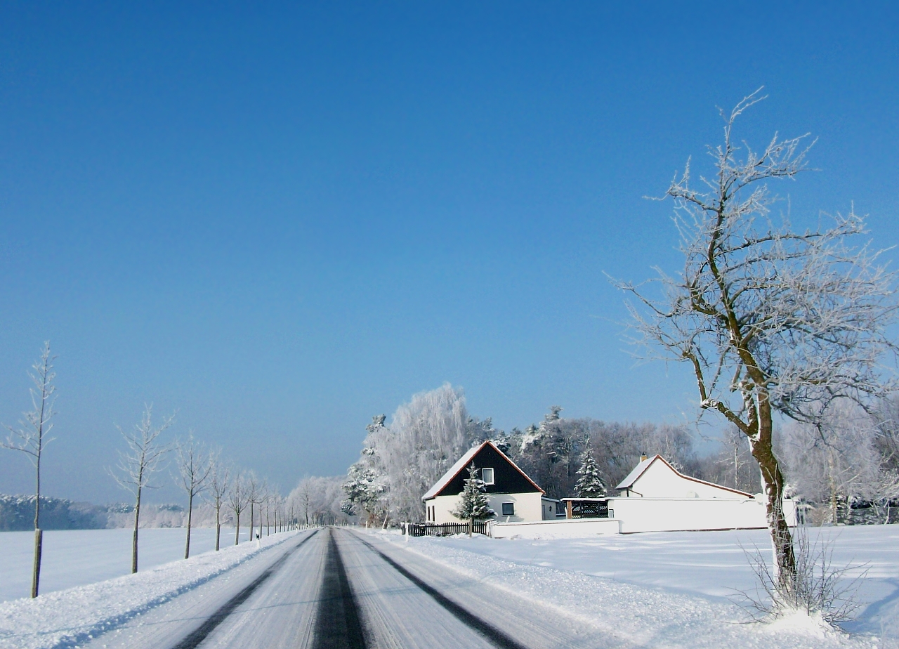 Spuren im Schnee > Zum Polarstern @ immer geradeaus der Nase nach bis zur Morgendämmerung! :-)