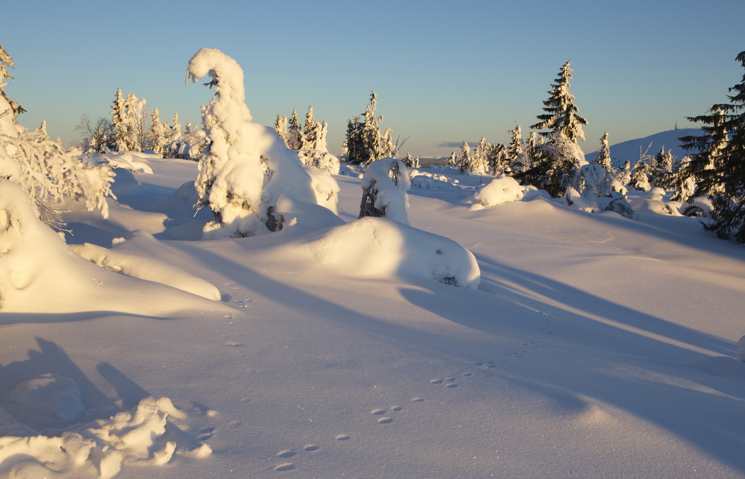 Spuren im Schnee_2