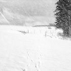 Spuren im Schneegestöber