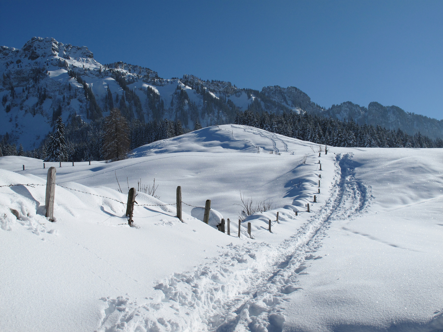 Spuren im Tiefschnee