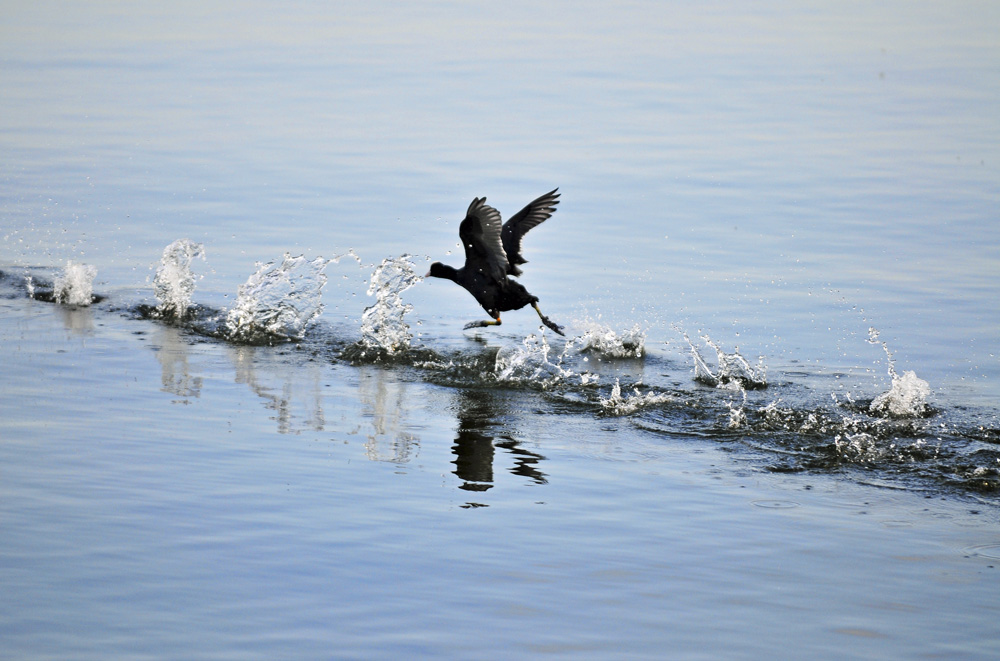 Spuren im Wasser