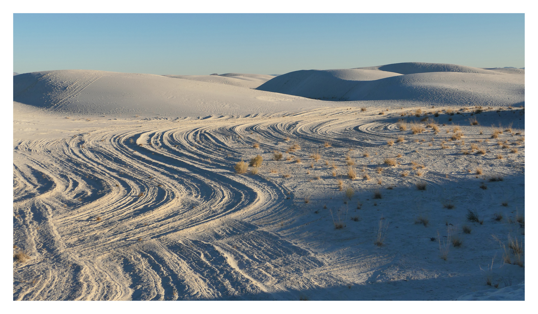 Spuren im White Sands National Park