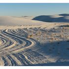 Spuren im White Sands National Park