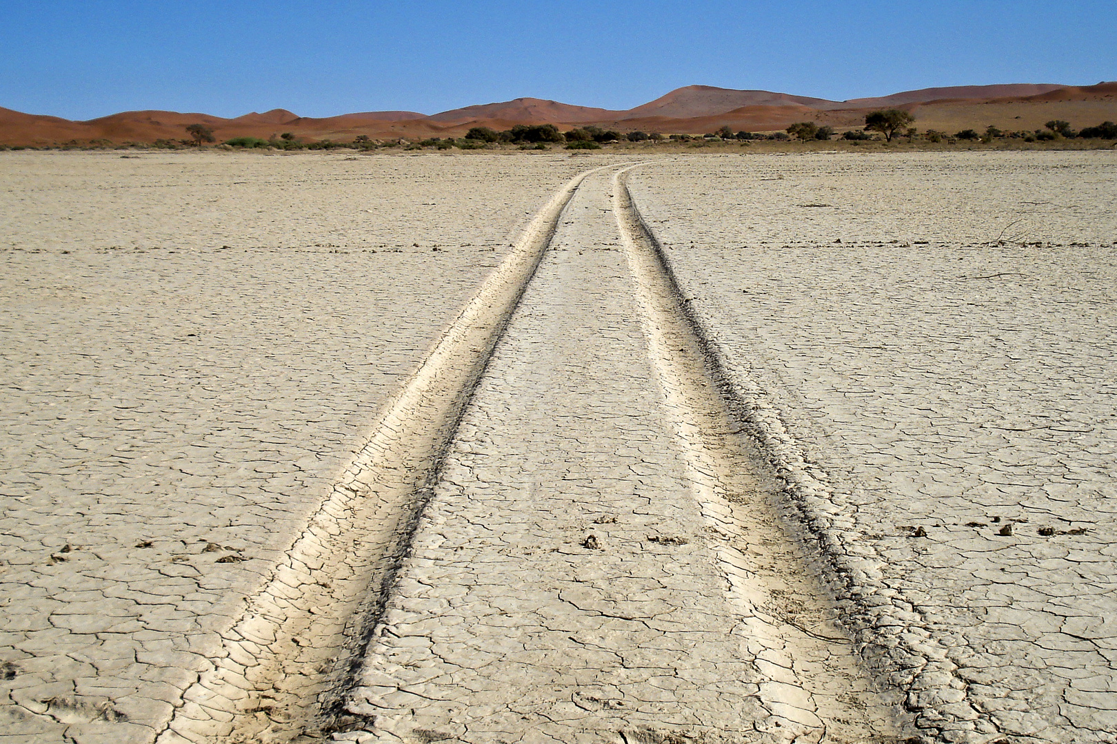 Spuren in der Namib