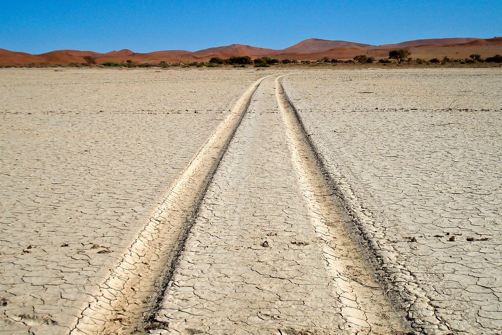Spuren in der Namib