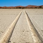 Spuren in der Namib