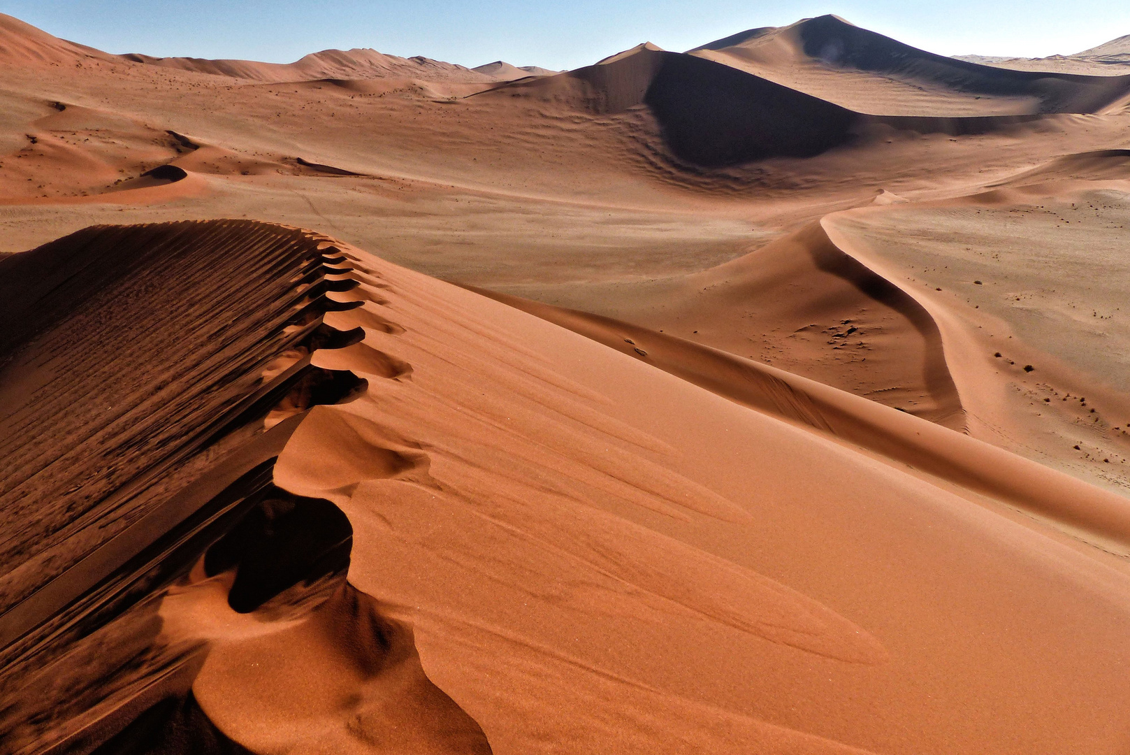 Spuren in der Namib Wüste