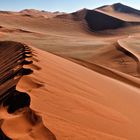 Spuren in der Namib Wüste